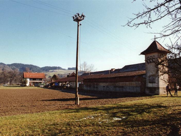 1998 – Golfpark Oberburg im Bau